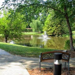 A serene park scene featuring a tranquil lake, surrounded by lush greenery and a peaceful bench.