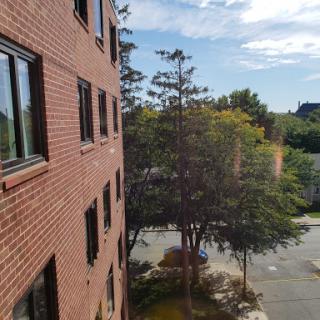 A view from a window showcasing a brick building, a tree, and a clear sky.