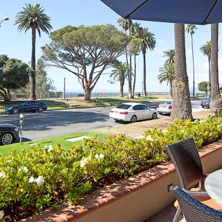 A scenic outdoor seating area with a view of palm trees and the ocean under a bright sunny sky.