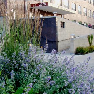 A building entrance with landscaped flowers and plants in an urban setting.