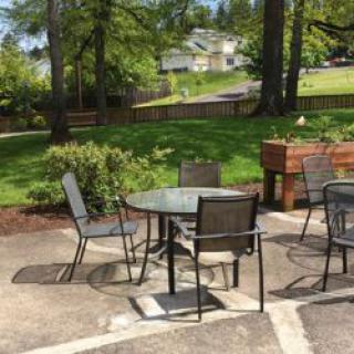 A serene outdoor patio with chairs and tables set in a lush garden.