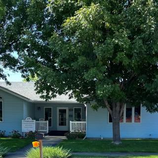 A suburban house with a large tree in the front yard.