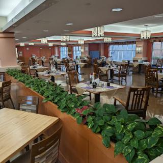 A spacious and well-lit dining area featuring wooden tables and chairs, complemented by decorative plants.