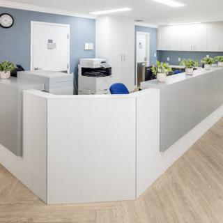 A modern office reception area featuring sleek design and greenery.