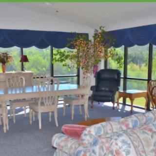A spacious living and dining area with large windows, featuring a dining table with chairs, a comfortable sofa, and indoor plants.
