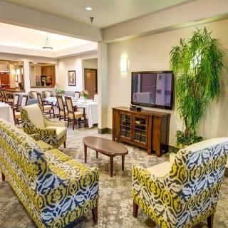 A cozy living and dining area with modern furniture, vibrant seating, a television, and an indoor plant.
