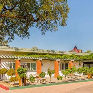A single-story building surrounded by greenery on a sunny day.