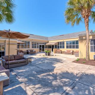 Sunny patio area with comfortable seating and palm trees.