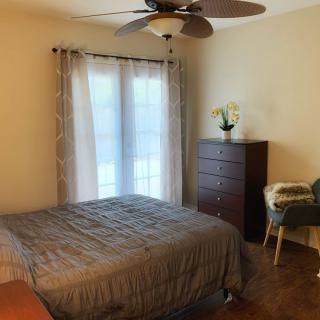 A cozy bedroom featuring a bed with a grey comforter, wooden dresser, chair, and ceiling fan, with light streaming through the window curtains.