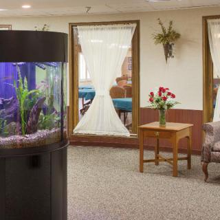A cozy lobby area featuring an aquarium, comfortable seating, and decorative plants.