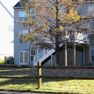 A multi-story building with a staircase under a tree, surrounded by grass in an autumn setting.