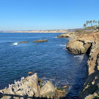 A serene coastal view showcasing the beauty of the ocean and rocky shoreline under a clear blue sky.