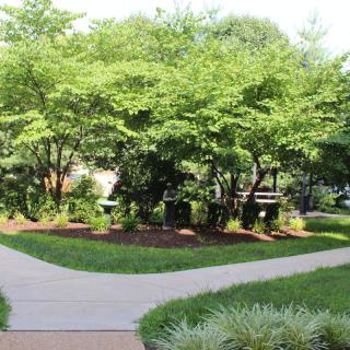 A serene garden landscape with lush greenery and intersecting pathways.