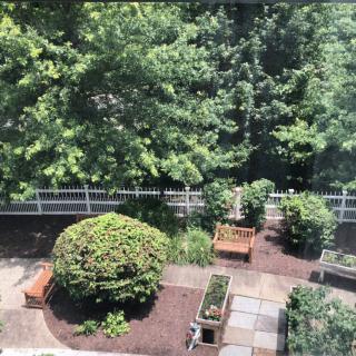 A tranquil garden with benches, surrounded by lush greenery and a white fence.