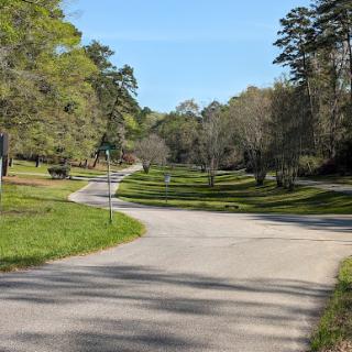 A serene winding road surrounded by lush greenery and trees, inviting a peaceful drive through nature.