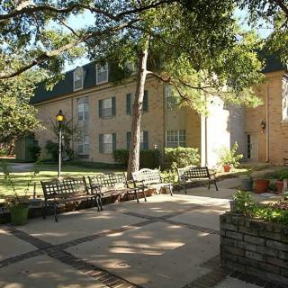 A peaceful courtyard with benches and trees casting shadows on a sunny day.