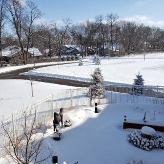 A serene winter landscape blanketed in fresh snow, showcasing the peacefulness of a snowy day.