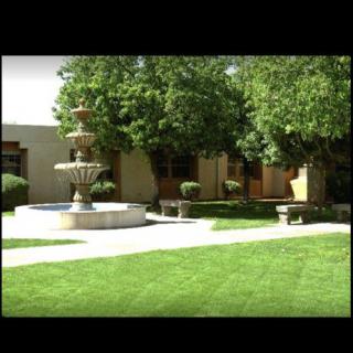 A tranquil garden scene featuring a central fountain surrounded by lush greenery and benches.
