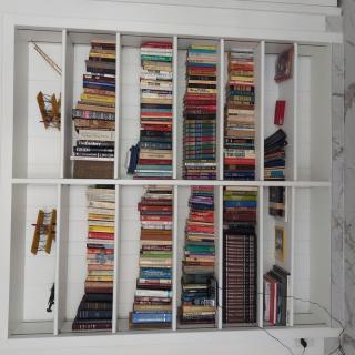 A well-stocked bookshelf filled with a diverse collection of books.