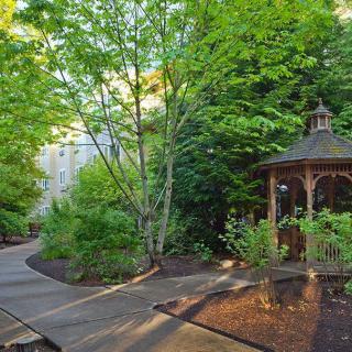 A serene garden with a winding pathway and a quaint wooden gazebo surrounded by lush greenery.