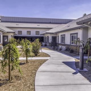 A modern building with a landscaped pathway and young trees.