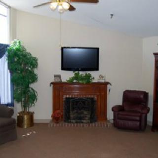 A cozy living room featuring a fireplace, television, armchair, and indoor plant.