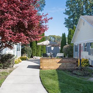 A peaceful residential area with a sidewalk lined by trees and houses.