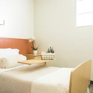 A minimalist bedroom featuring a neatly made bed and decorative plants.