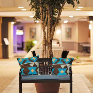 An inviting bench with colorful cushions set in a courtyard under a potted tree.