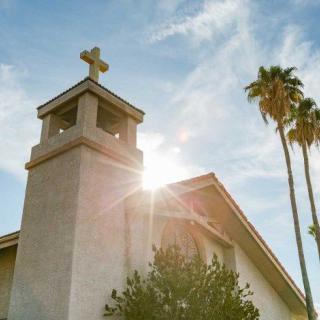 A church with a cross on top, illuminated by sunlight with palm trees nearby.