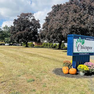 A vibrant sign in a landscaped area, surrounded by trees and autumn decorations.