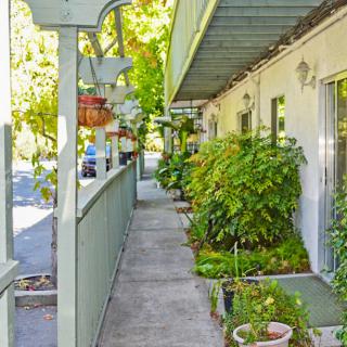 A sunny apartment walkway adorned with lush greenery and potted plants.