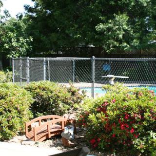 A backyard garden with bushes and a chain-link fence surrounding a swimming pool.