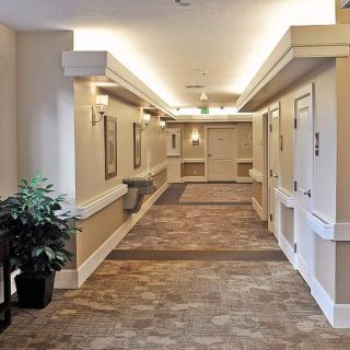 A well-lit hallway with doors on either side, featuring decor and a carpeted floor.