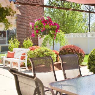 A sunny patio with outdoor furniture and vibrant garden plants.