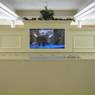 A modern reception area featuring a large television displaying an aquarium scene.
