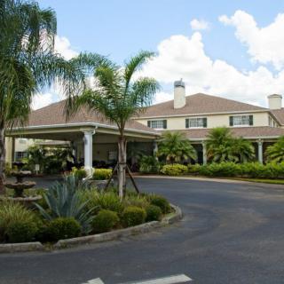 A welcoming entrance of a hotel surrounded by palm trees and well-maintained landscaping.
