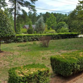 A well-maintained garden with various shrubs, bushes, and trees under a clear sky.