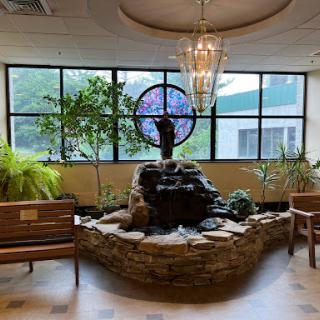 A serene waiting area featuring an indoor fountain, lush plants, and comfortable seating.