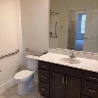 A modern bathroom featuring a vanity with a sink, a toilet with safety grab bars, and a large mirror.