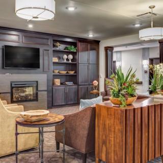 A modern living room with a fireplace, TV, and stylish decor.