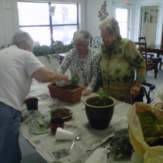A group of seniors engaging in a gardening activity indoors.