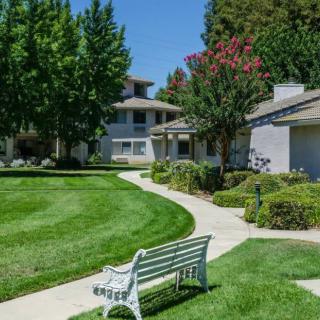 A serene residential area with a pathway and a bench surrounded by lush greenery.