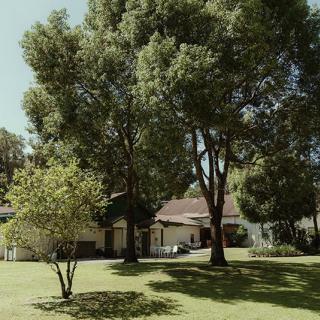 A peaceful residential scene featuring a house surrounded by lush trees and a well-kept lawn.