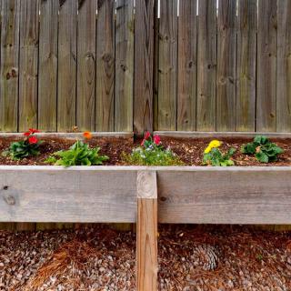 A raised garden bed with colorful flowers planted, set against a wooden fence.