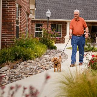 An elderly man walks his dog on a pathway in a residential area, surrounded by greenery.