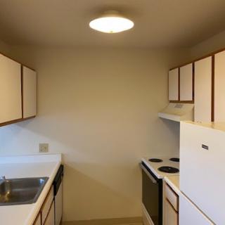 A modern kitchen featuring white cabinets and basic appliances.
