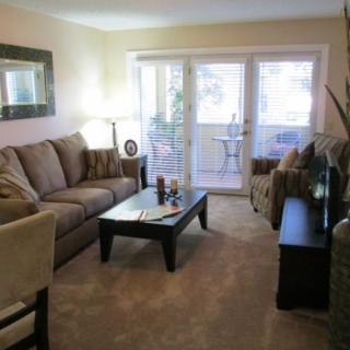 A cozy living room with a sofa, coffee table, and television, featuring modern decor and natural light through patio doors.