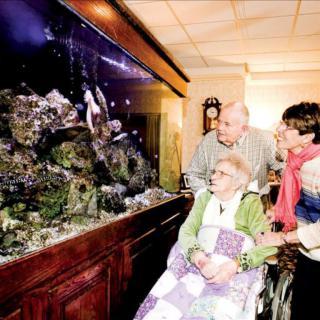 A family gathered around an aquarium, engaging in a shared moment of observation.
