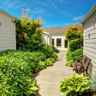 A serene garden pathway lined with lush plants and a wooden bench under a clear blue sky.